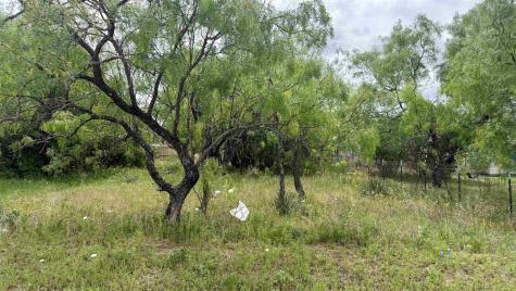 Lt 129 Fawn Street Kingsland TX 78639