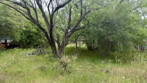 Lt 129 Fawn Street Kingsland TX 78639