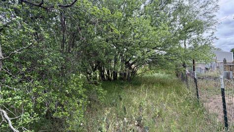 Lt 129 Fawn Street Kingsland TX 78639