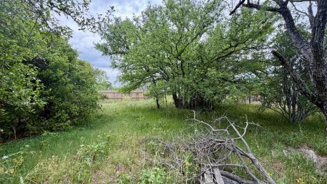 Lt 129 Fawn Street Kingsland TX 78639