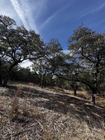 00 Lot K13046 Thanksgiving Mountain Horseshoe Bay TX 78657