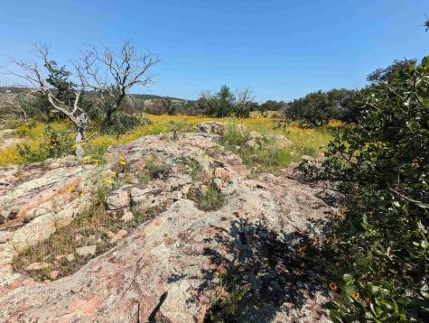 Xxxx Peninsula Drive Burnet TX 78611