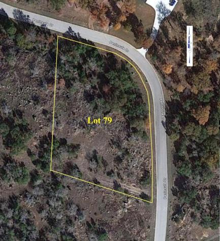 Xxxx Peninsula Drive Burnet TX 78611