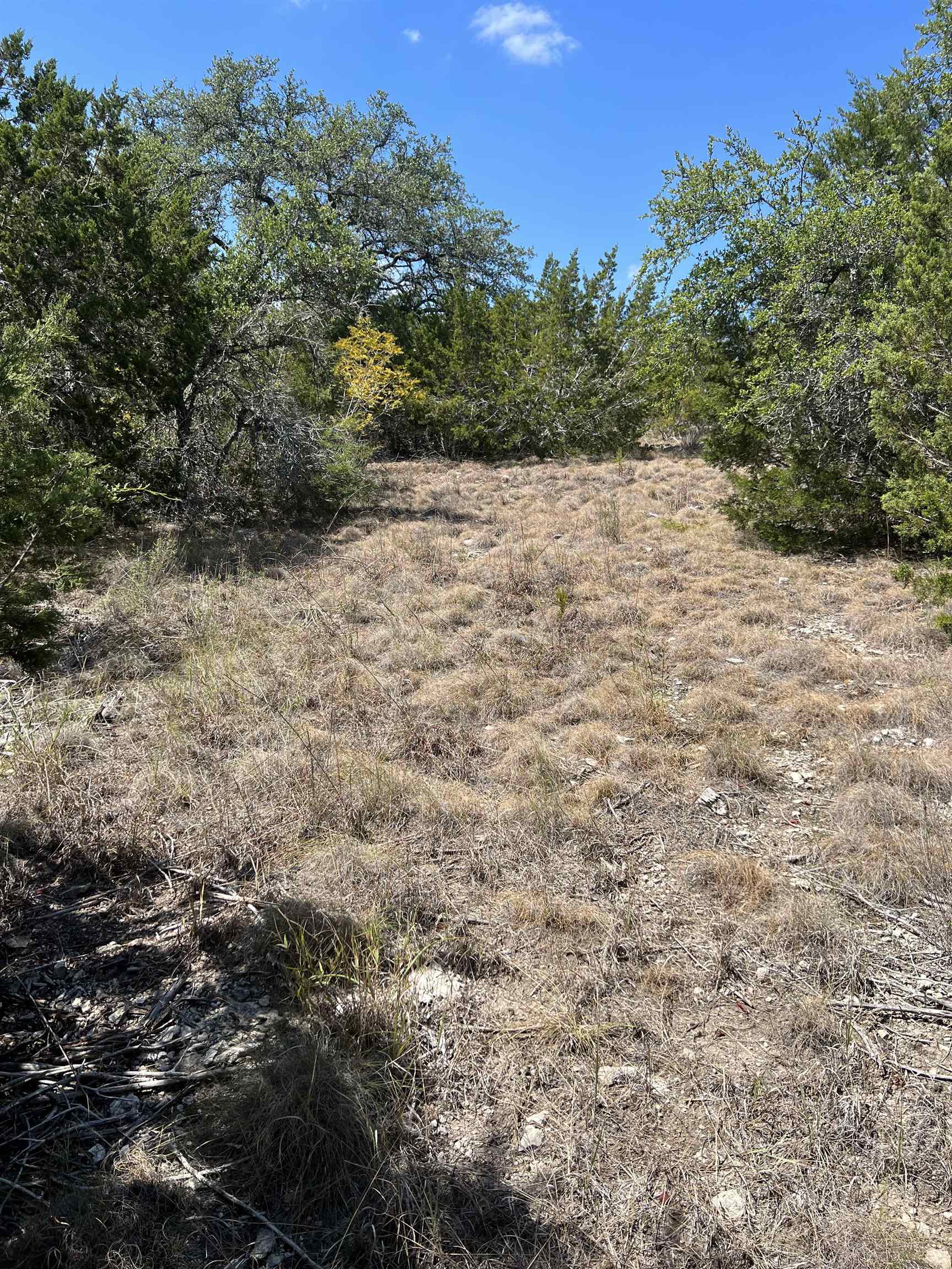 20700 Overland Trail Lago Vista TX 78645