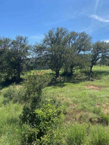 W25065 White Dove/apache Tears Horseshoe Bay TX 78657
