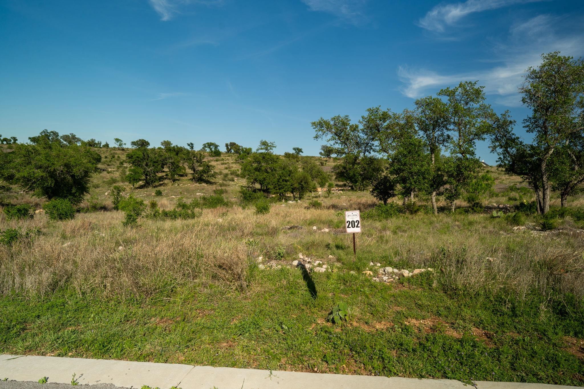Lot 202 Tbd Westridge Way, Big Creek Ranch Kingsland TX 78639