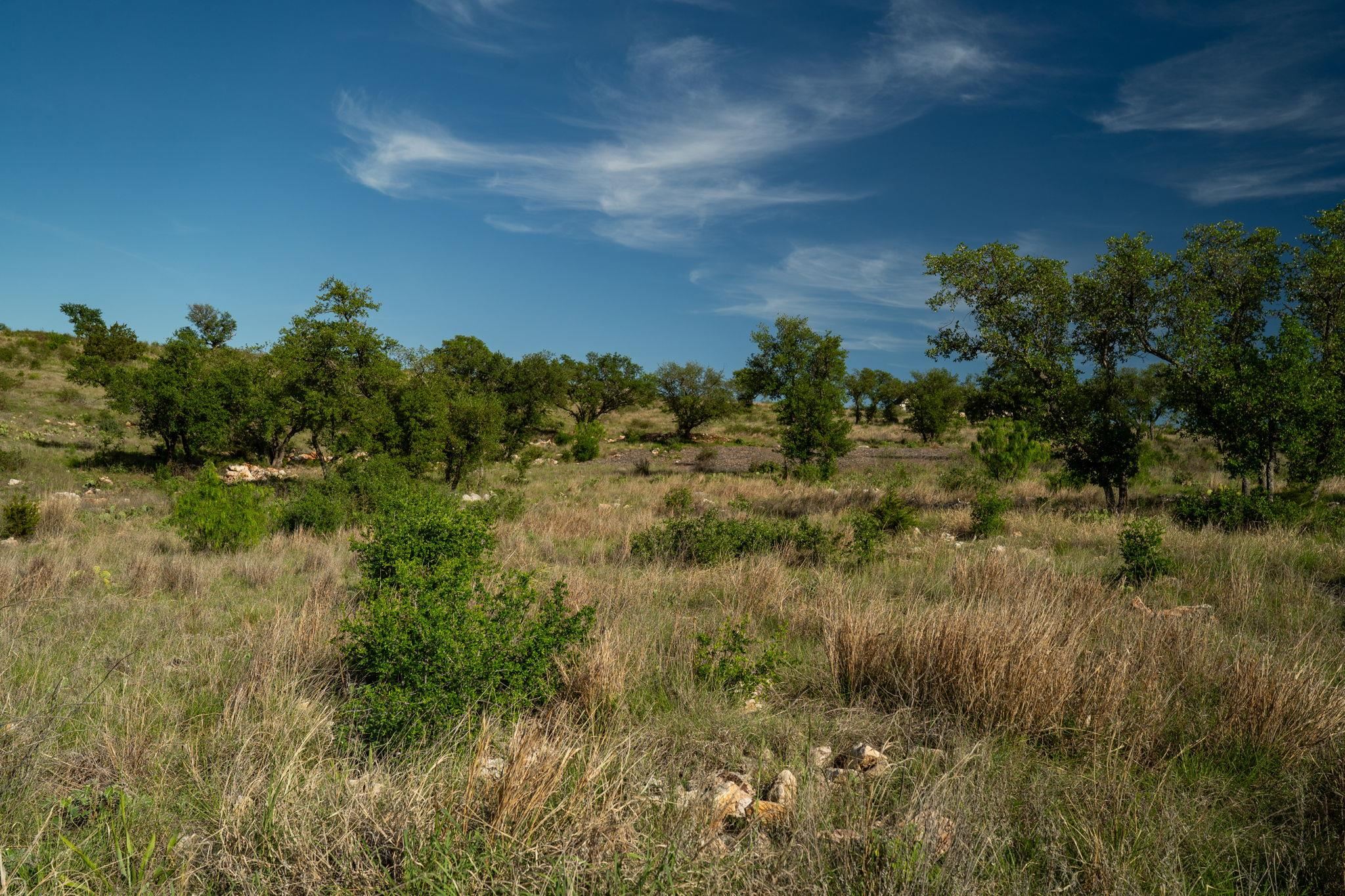 Lot 202 Tbd Westridge Way, Big Creek Ranch Kingsland TX 78639