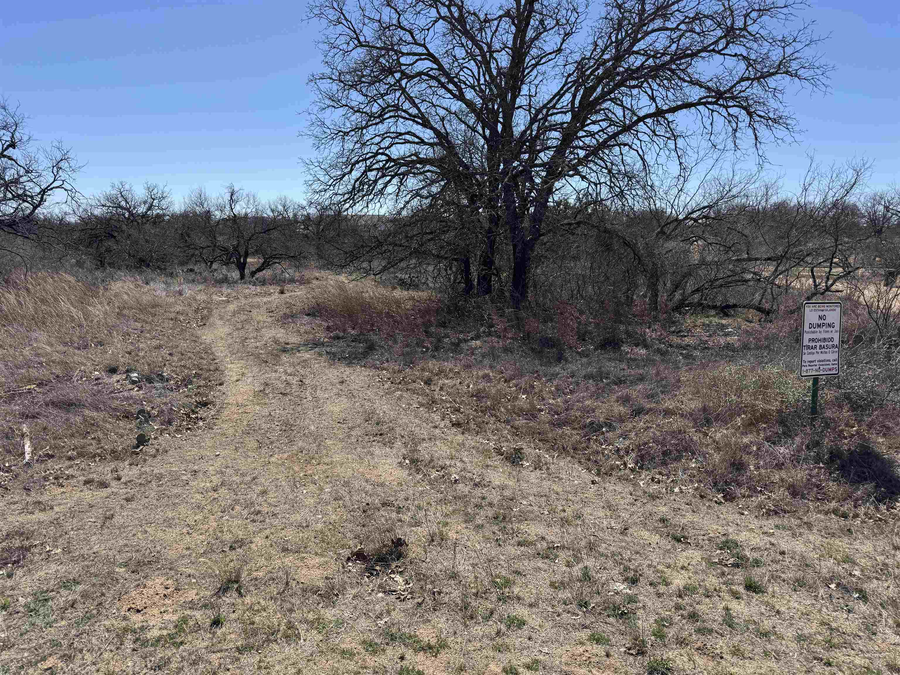 Lot 103 Ridgemont Drive Kingsland TX 78639