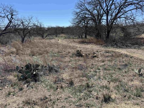 Lot 103 Ridgemont Drive Kingsland TX 78639