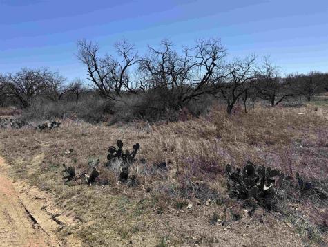 Lot 103 Ridgemont Drive Kingsland TX 78639