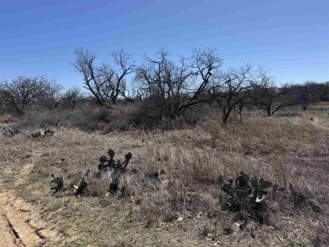 Lot 103 Ridgemont Drive Kingsland TX 78639