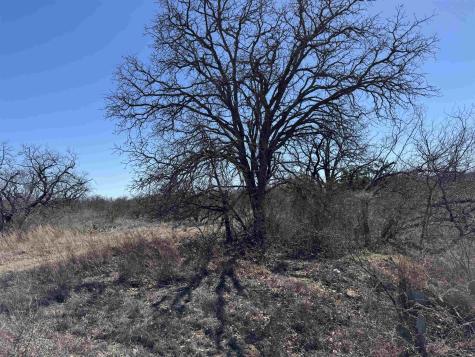 Lot 103 Ridgemont Drive Kingsland TX 78639