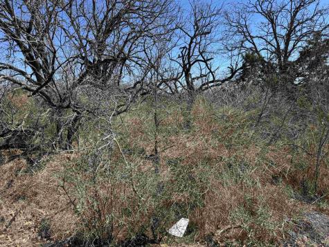 Lot 103 Ridgemont Drive Kingsland TX 78639