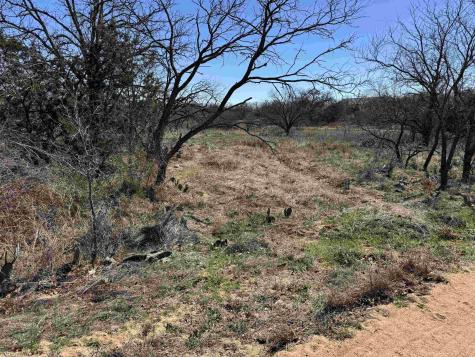 Lot 103 Ridgemont Drive Kingsland TX 78639