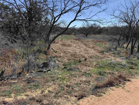 Lot 103 Ridgemont Drive Kingsland TX 78639