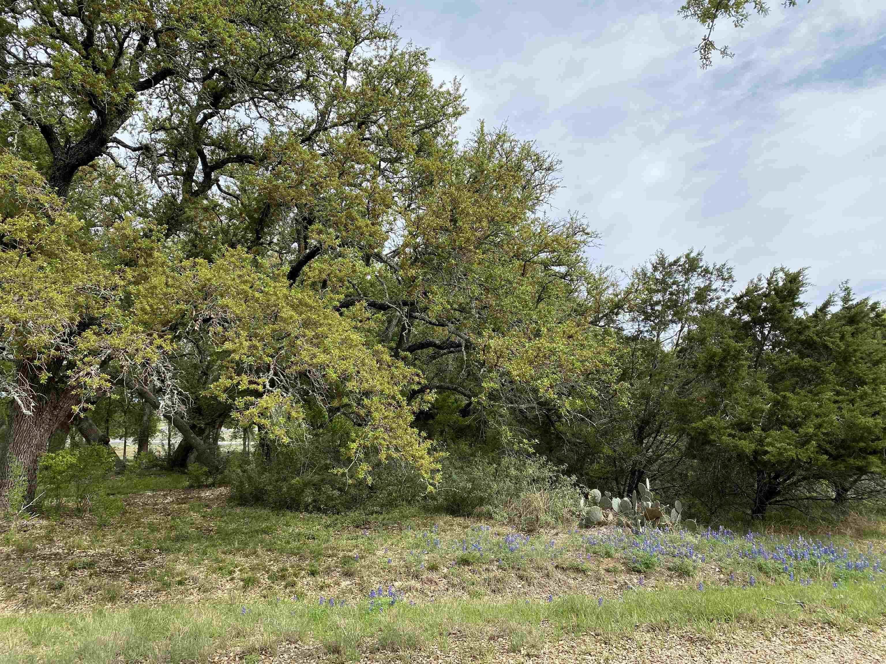 Tbd Dakota Horseshoe Bay TX 78657