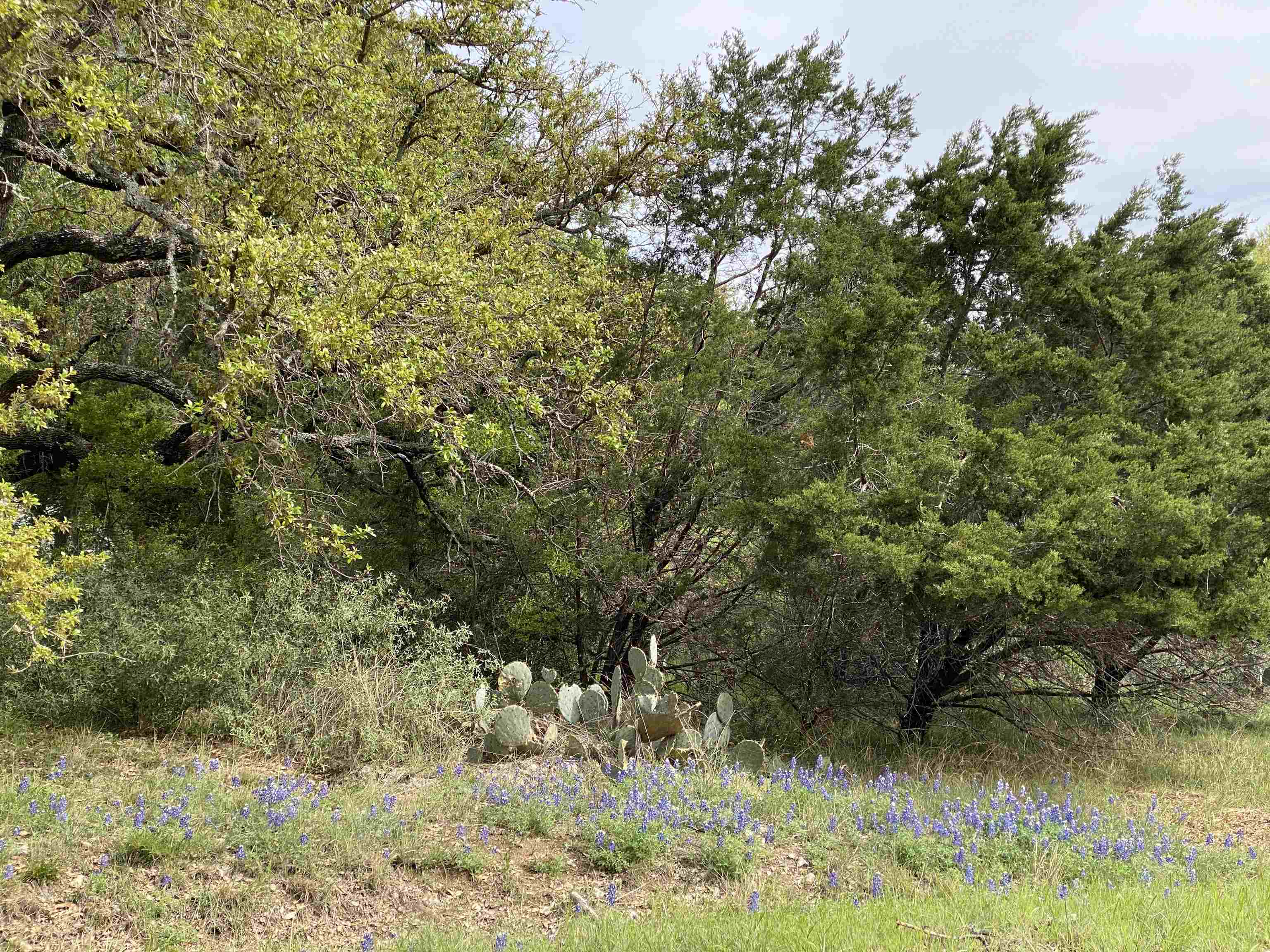 Tbd Dakota Horseshoe Bay TX 78657