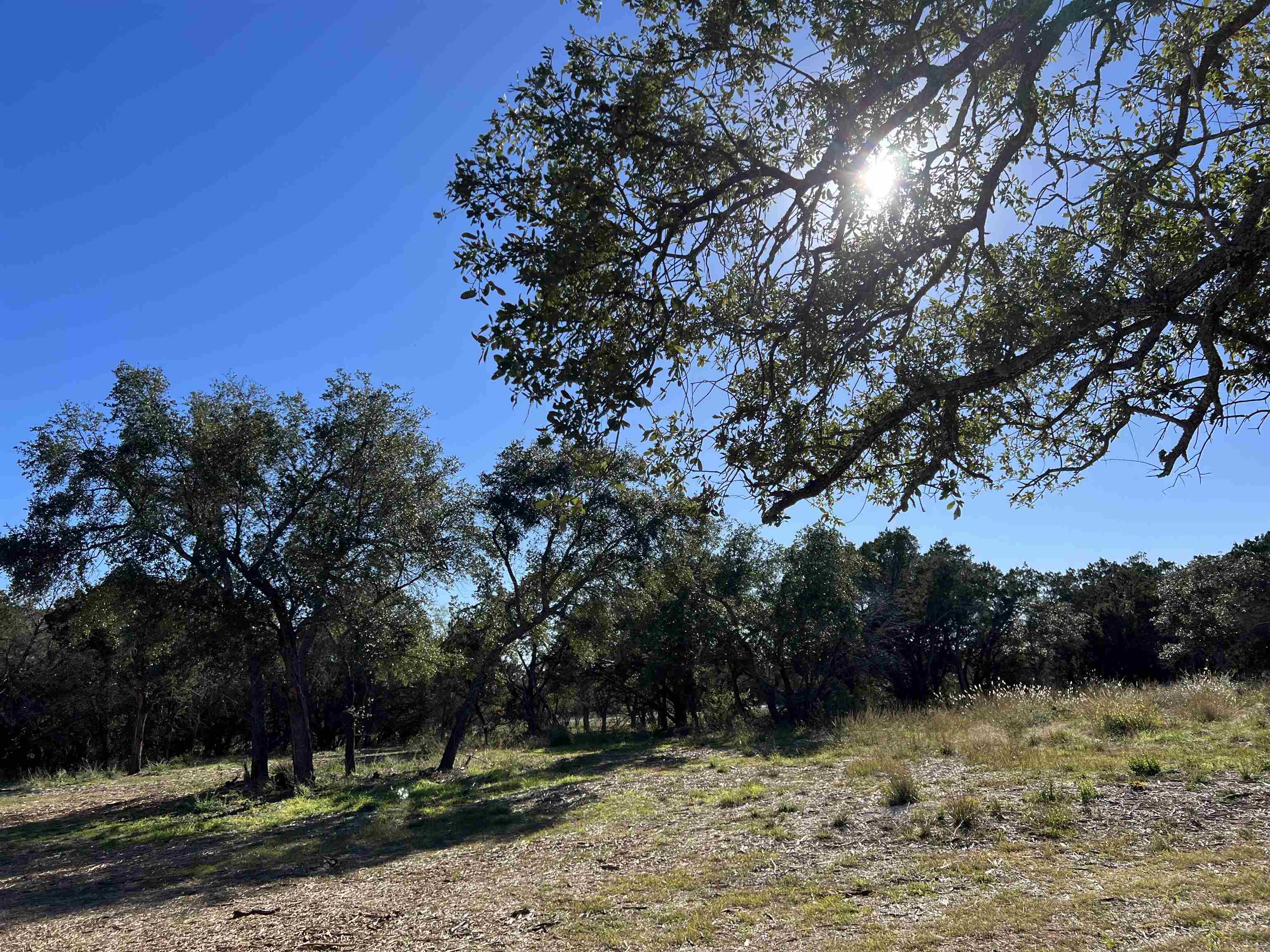 901 Escalar Drive Kingsland TX 78609