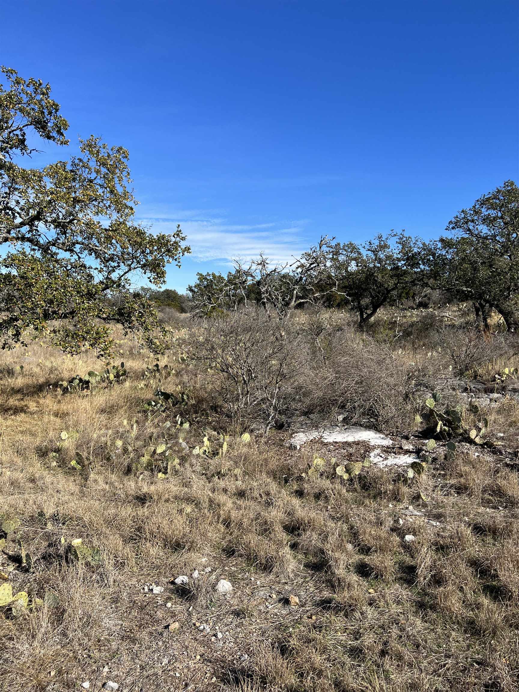 29003 Pawnee Trail Horseshoe Bay TX 78657