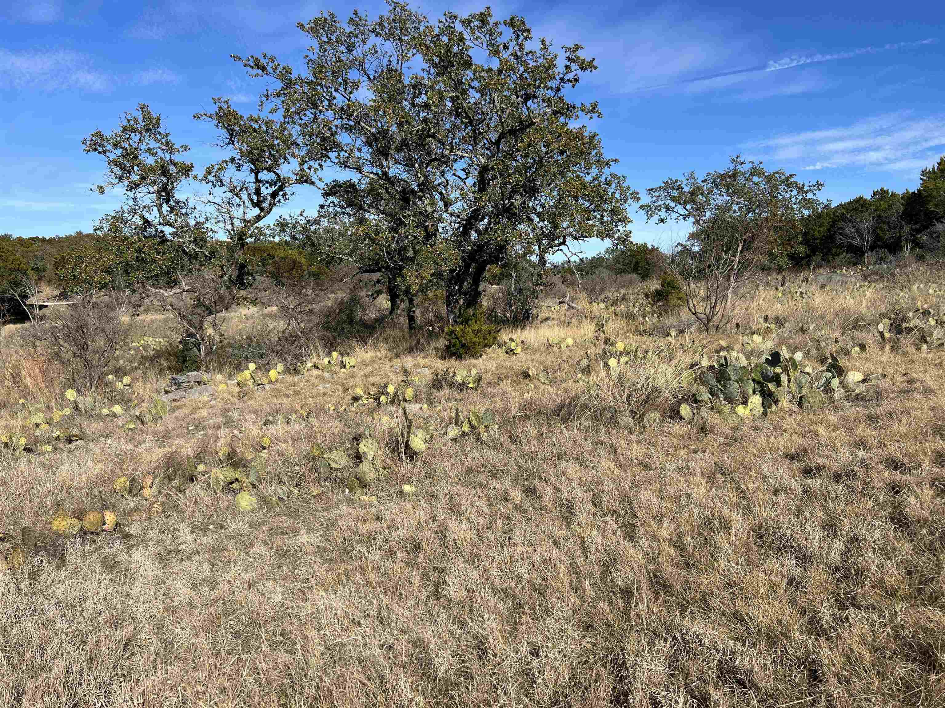 29003 Pawnee Trail Horseshoe Bay TX 78657