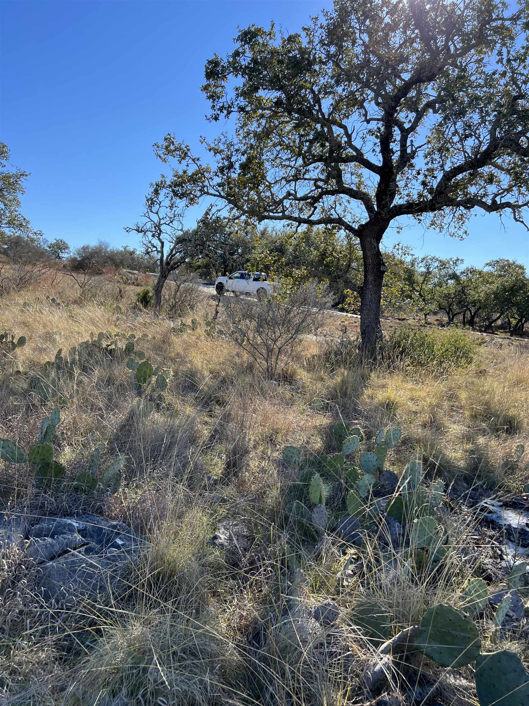 29003 Pawnee Trail Horseshoe Bay TX 78657