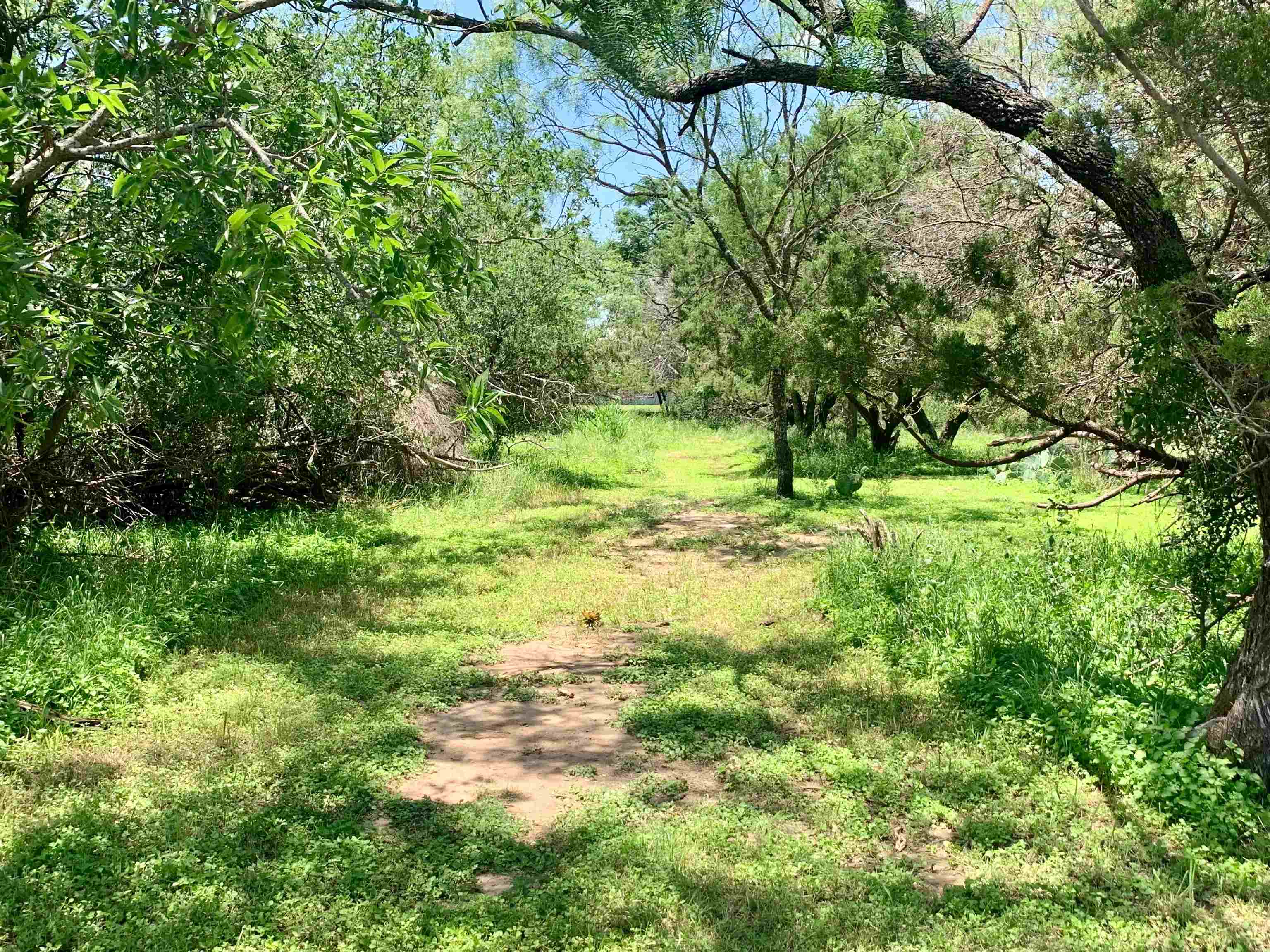 Lot 520 Aspen Lane Cottonwood Shores TX 78657