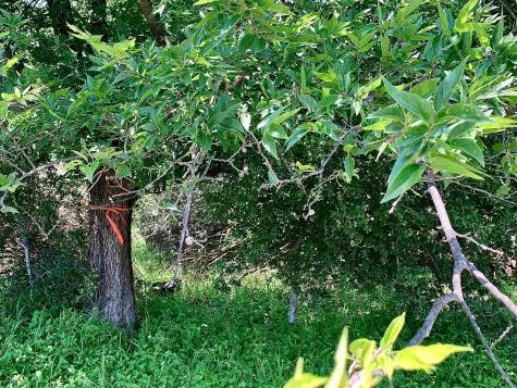 Lot 520 Aspen Lane Cottonwood Shores TX 78657