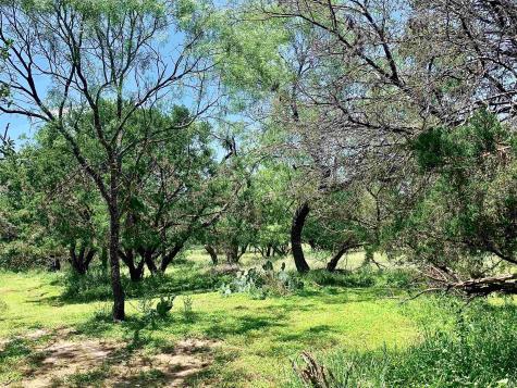 Lot 520 Aspen Lane Cottonwood Shores TX 78657