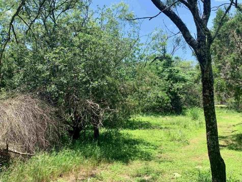Lot 520 Aspen Lane Cottonwood Shores TX 78657