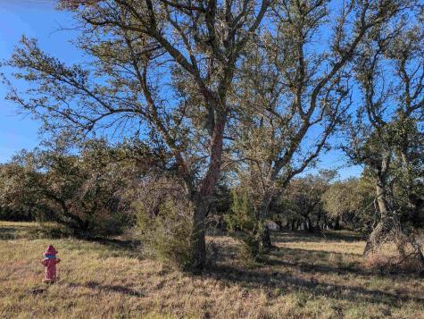 W35083 Mountain Home Lt W35083 Horseshoe Bay TX 78657