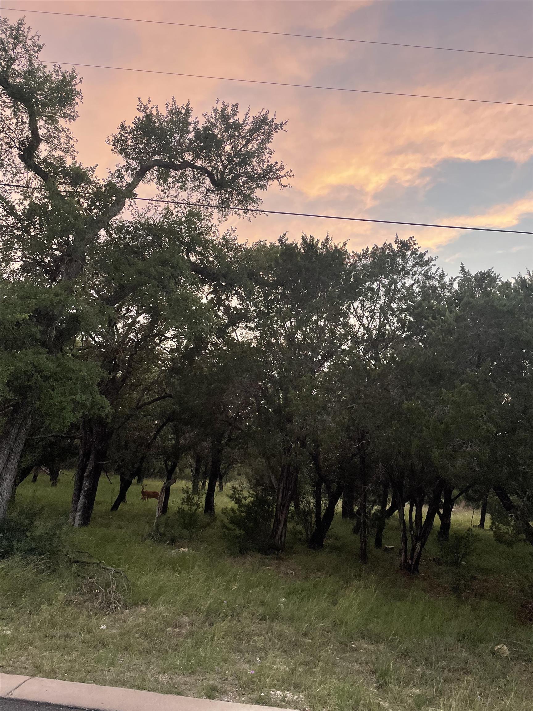Lot K14012 Mountain Dew Road Horseshoe Bay TX 78657