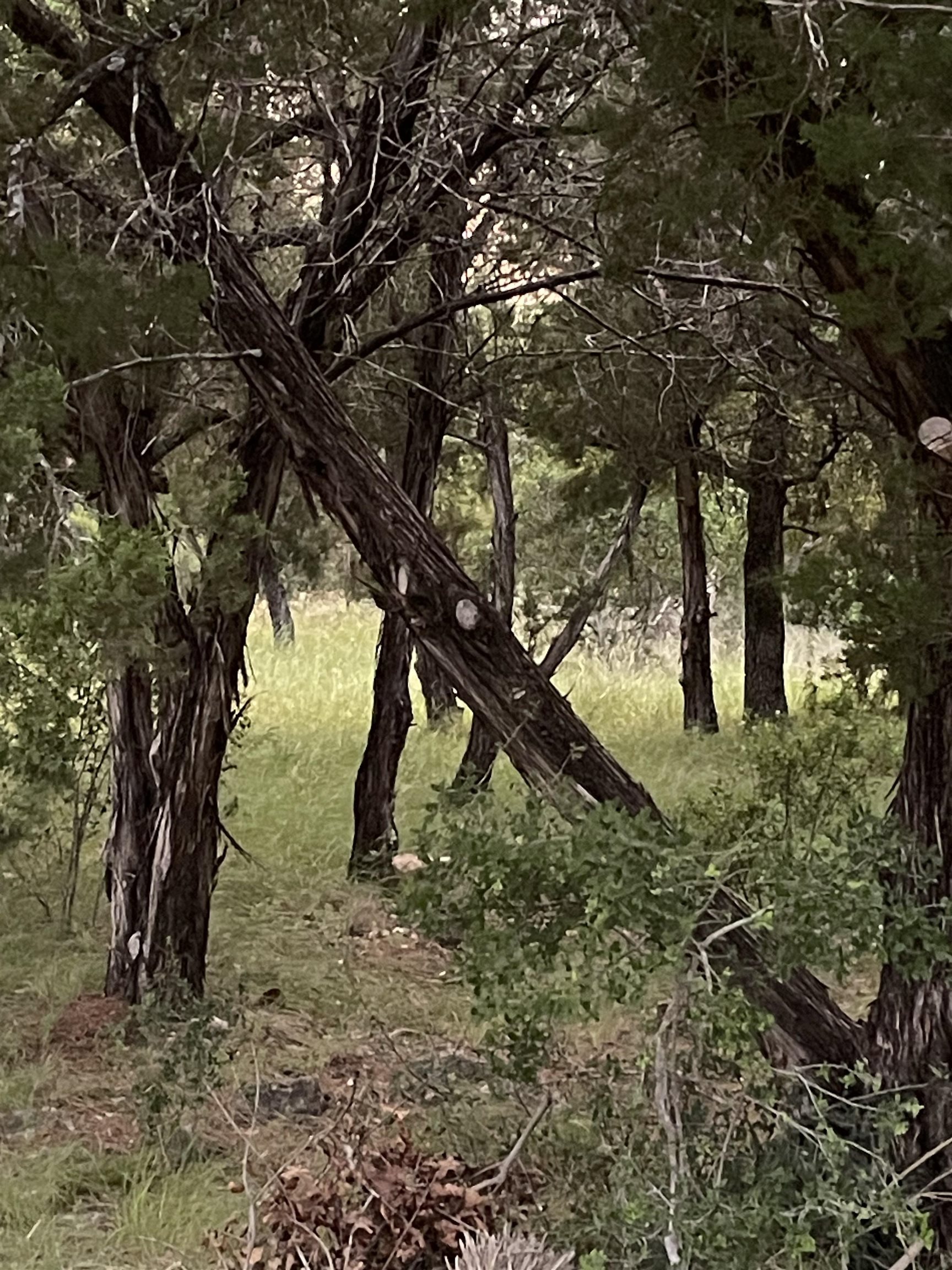 Lot K14012 Mountain Dew Road Horseshoe Bay TX 78657