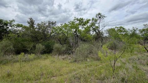 Lt 44 Lewis Lane Kingsland TX 78639