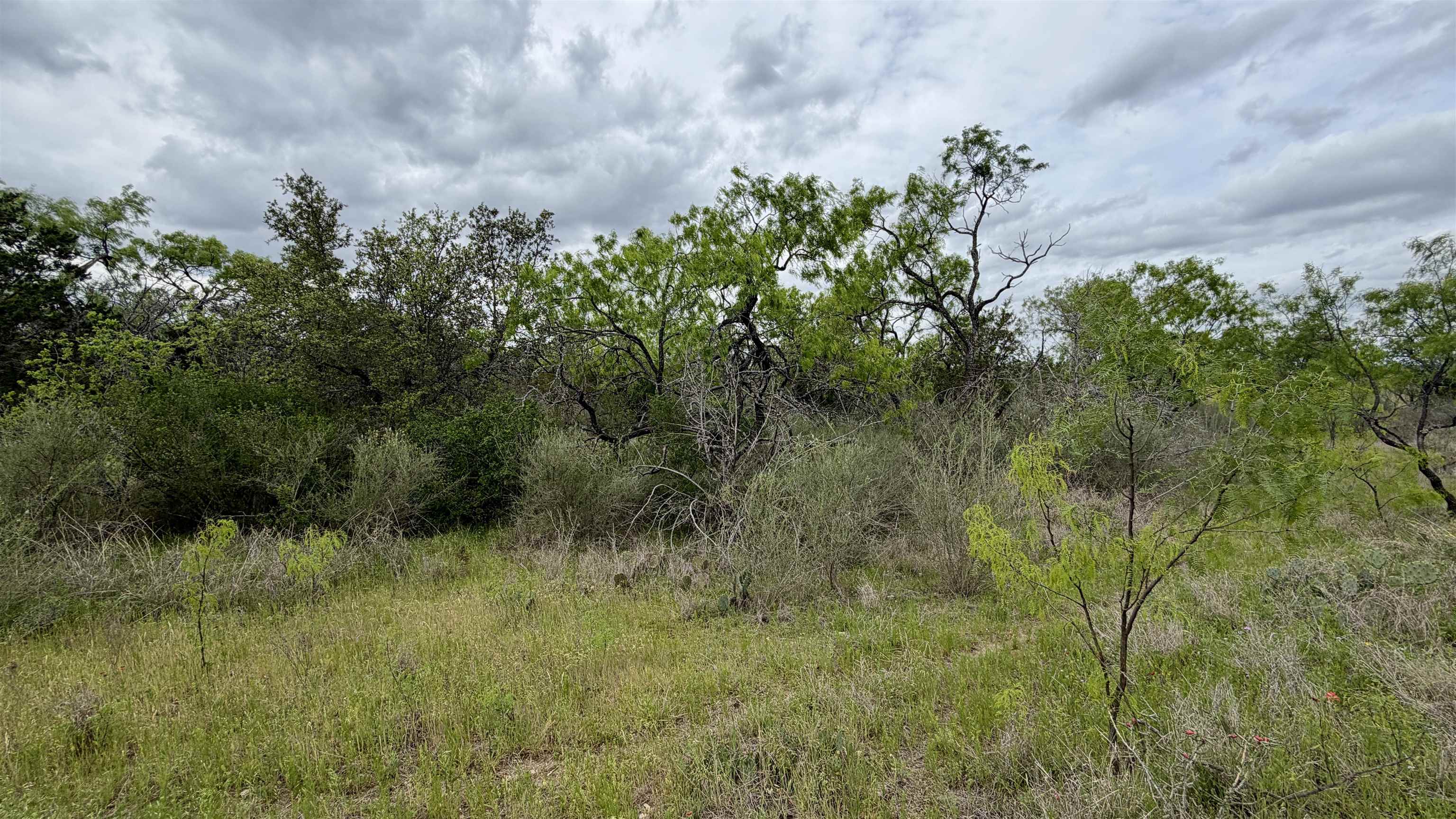 Lt 44 Lewis Lane Kingsland TX 78639