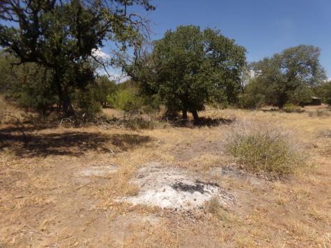 Lot 140 Pine Lane Cottonwood Shores TX 78657
