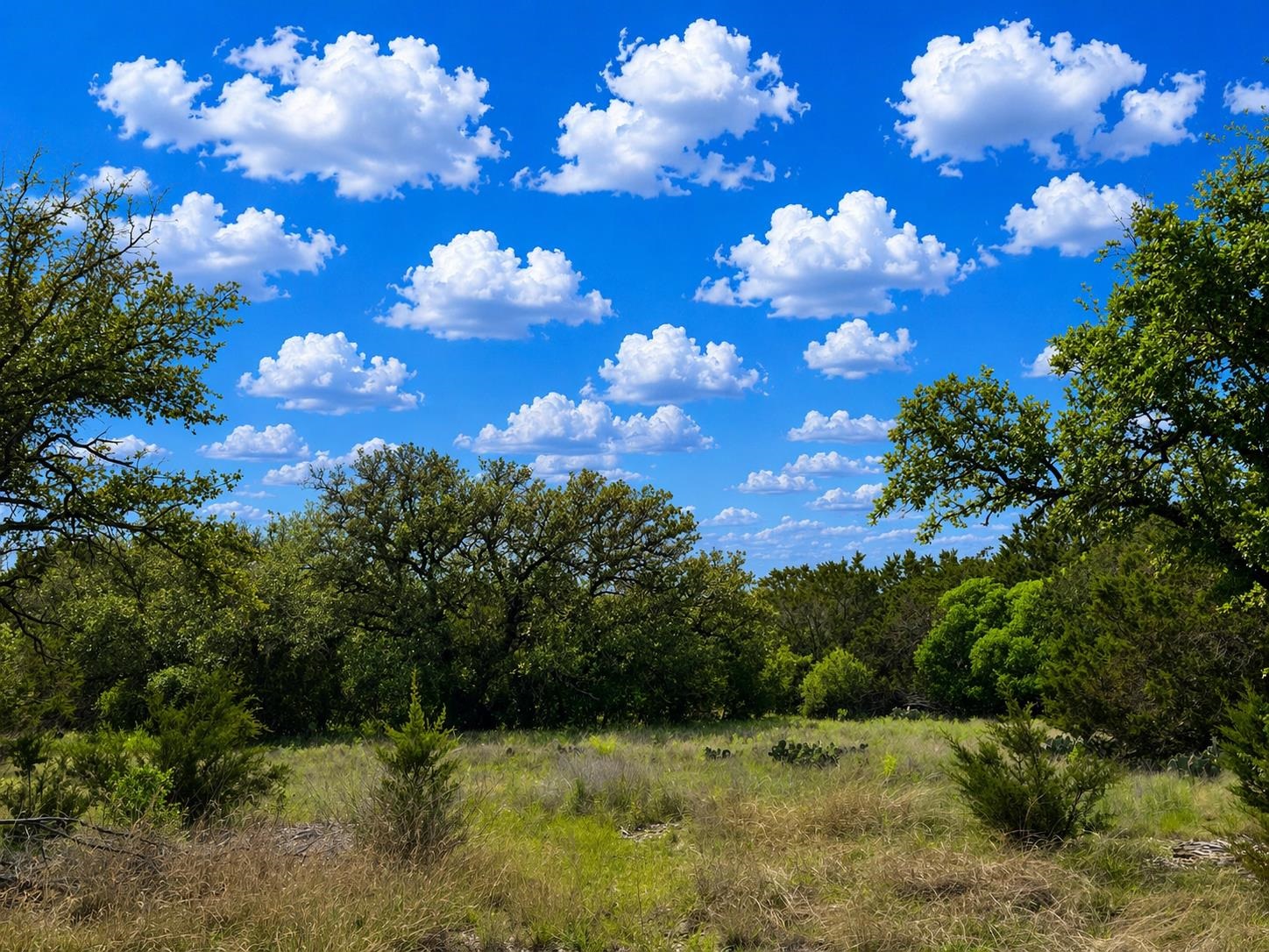 Tbd Arrowhead Trail Lot 7 Killeen TX 76549