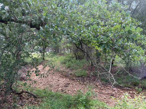 117 Lost Nugget Horseshoe Bay TX 78657