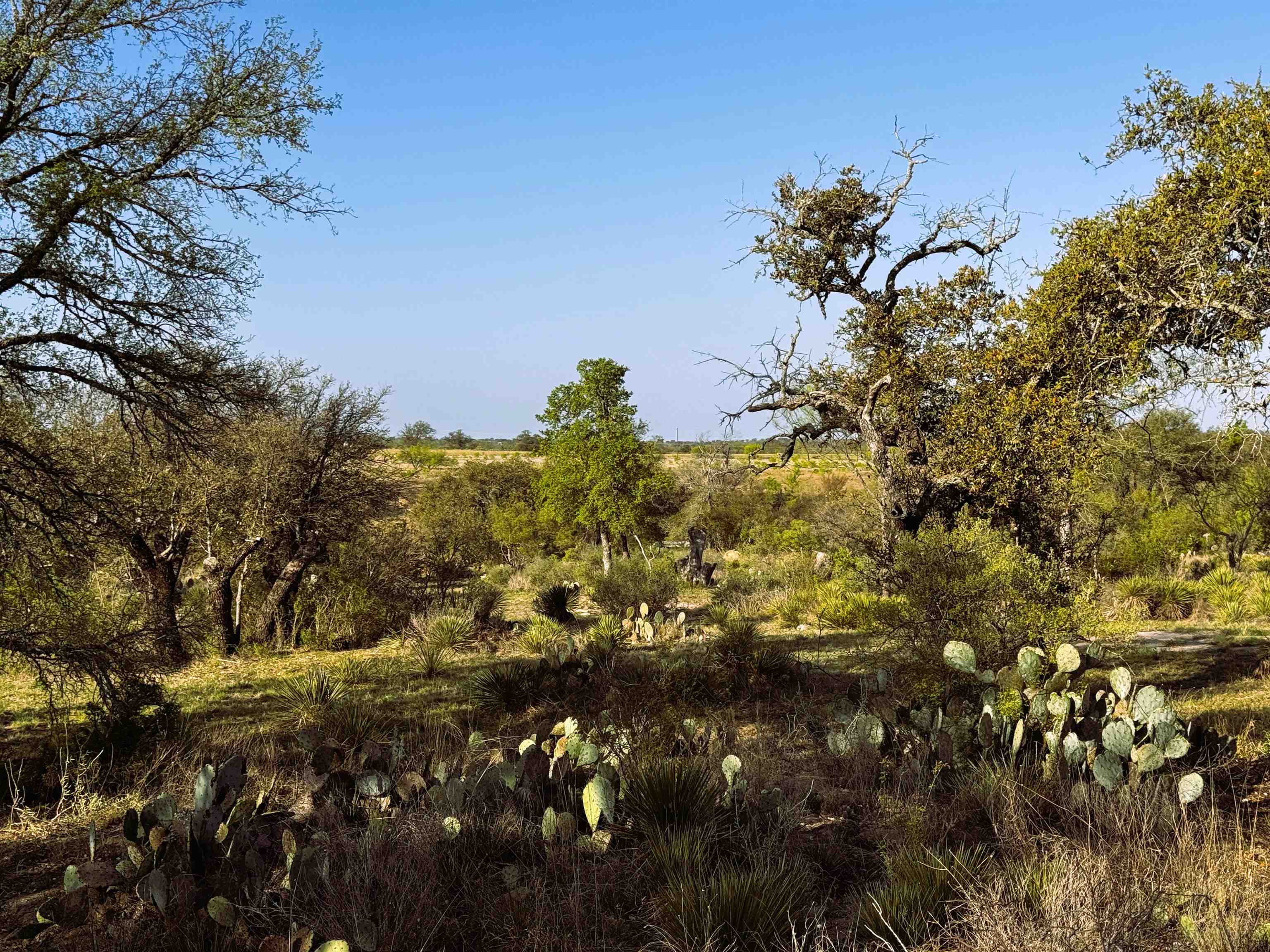 4064 County Road 104 Llano TX 78643
