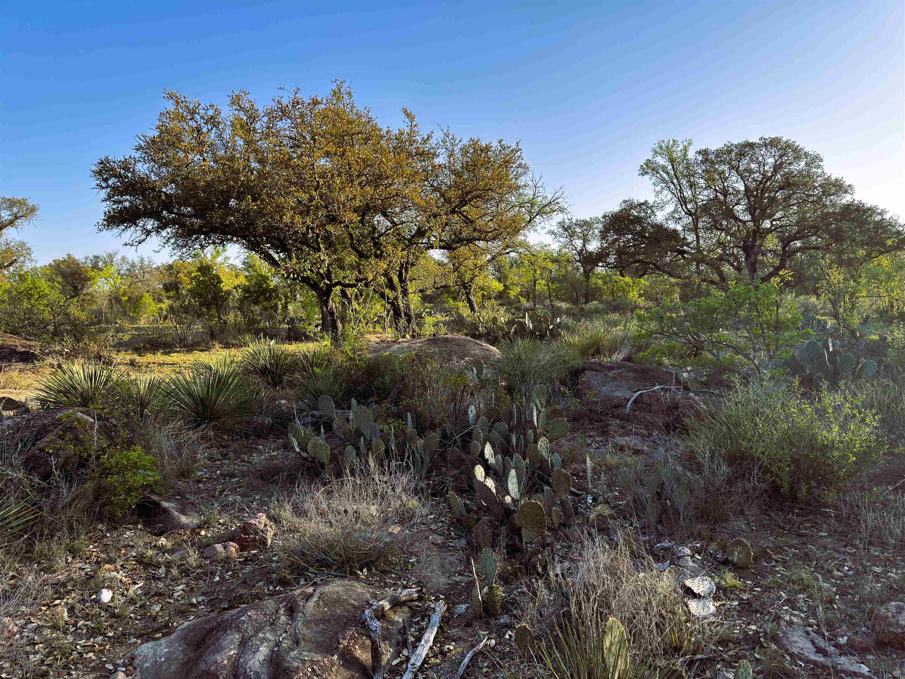 4064 County Road 104 Llano TX 78643