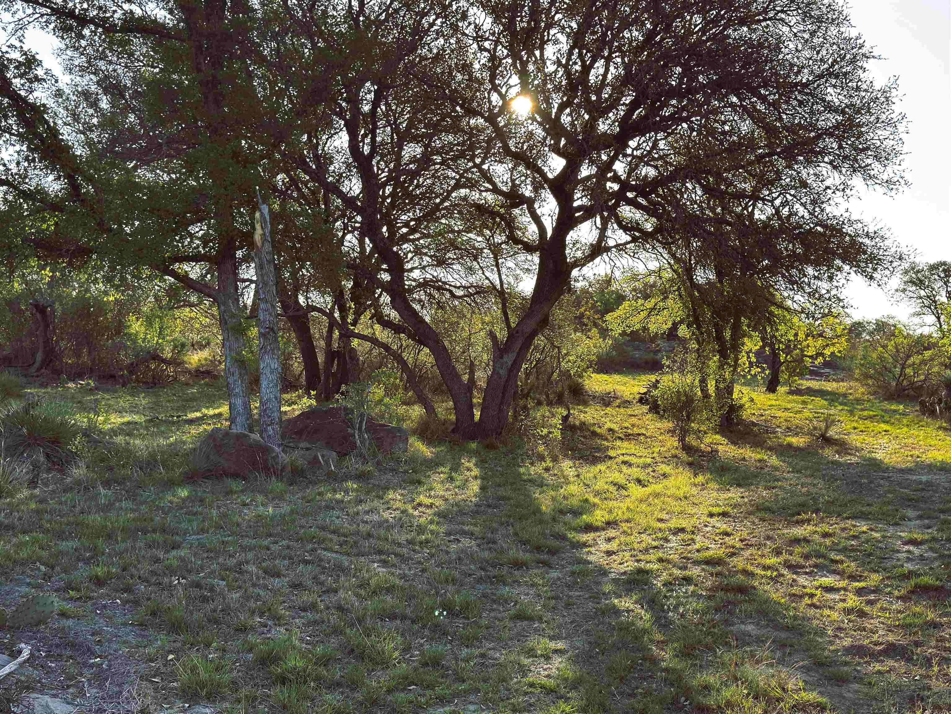4064 County Road 104 Llano TX 78643