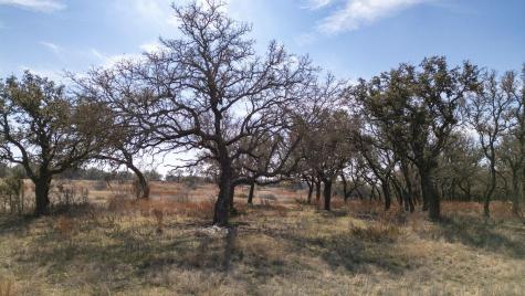 100 S Waterbuck Way Lampasas TX 76550