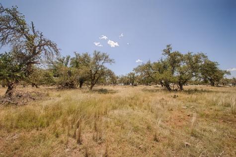 Lot 86 Stock Pond Drive Harper TX 78631