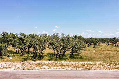 Lot 86 Stock Pond Drive Harper TX 78631
