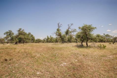 Lot 86 Stock Pond Drive Harper TX 78631