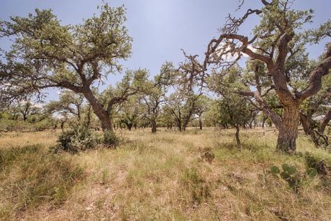 Lot 86 Stock Pond Drive Harper TX 78631