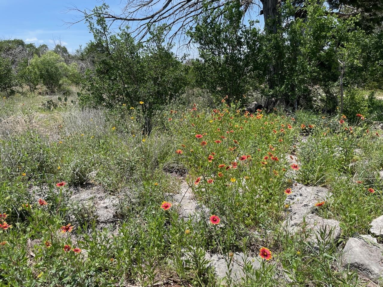 4207 Three Creek Trail Spicewood TX 78669