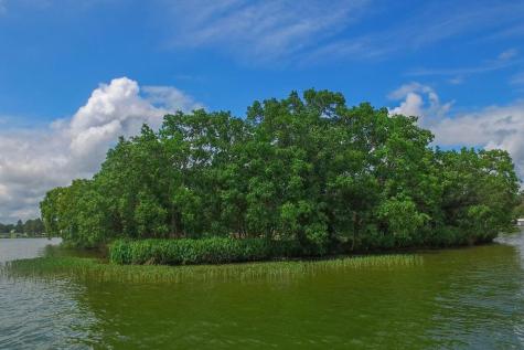 Lake Lbj Lakeview Blvd Unit1islandplot No 1.2 Sunrise Beach TX 78643