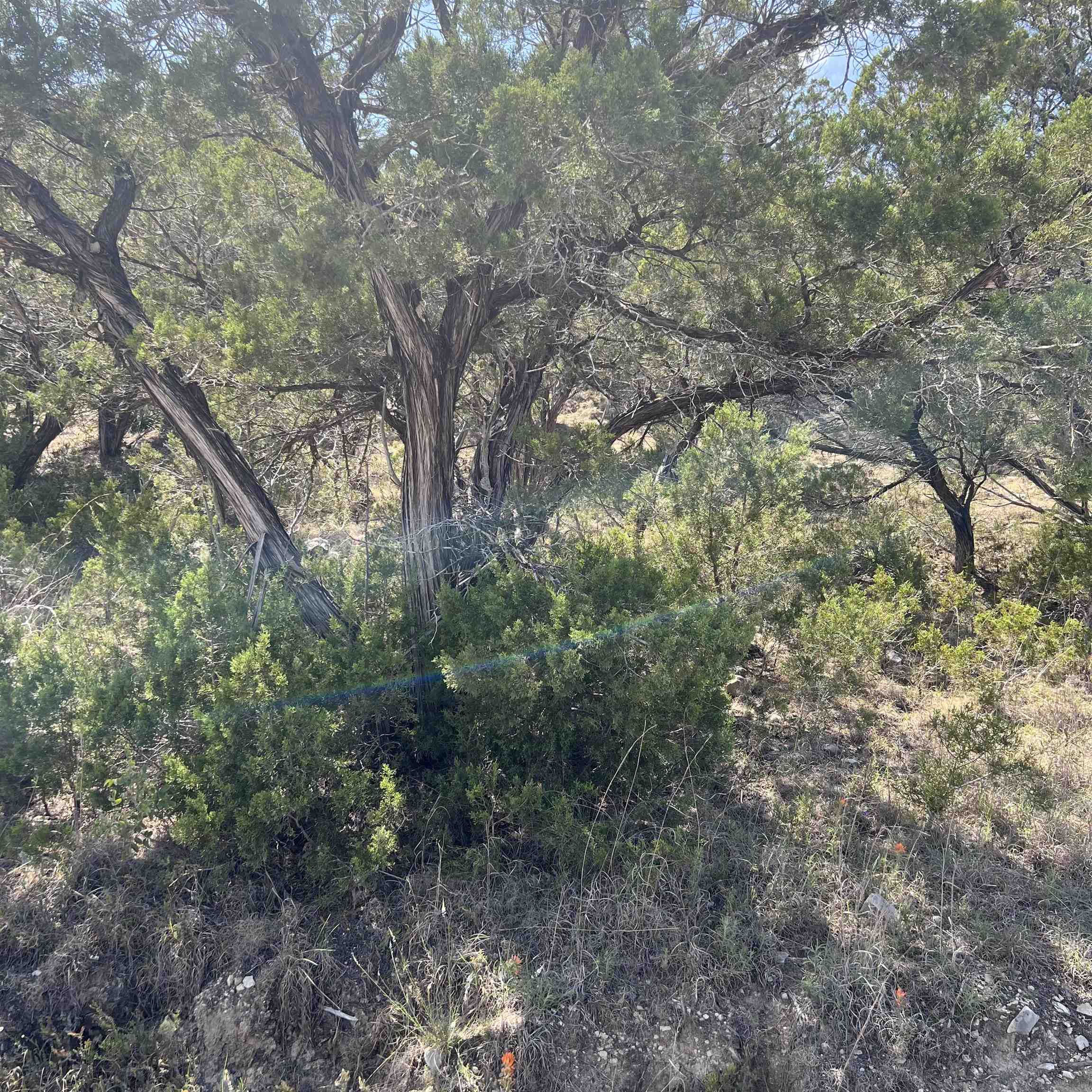 28536 Paradise Manor Drive Marble Falls TX 78654