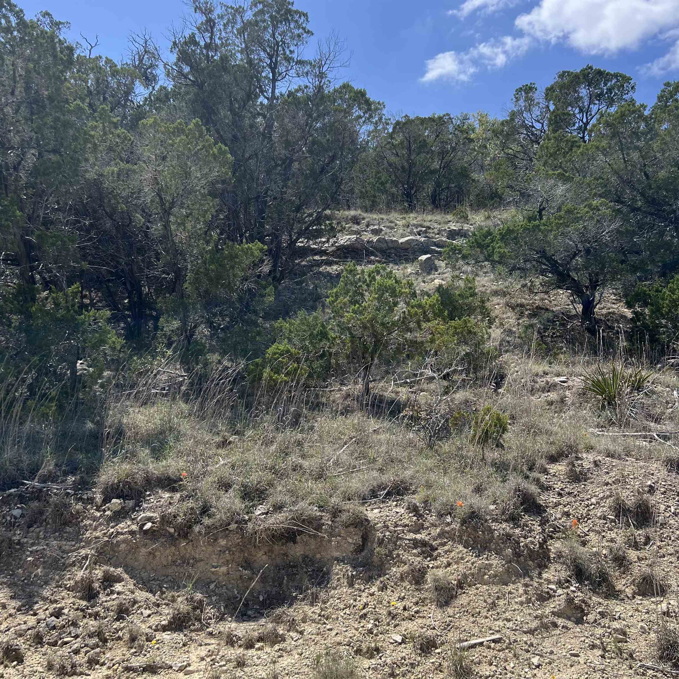 28536 Paradise Manor Drive Marble Falls TX 78654