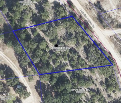 28536 Paradise Manor Drive Marble Falls TX 78654